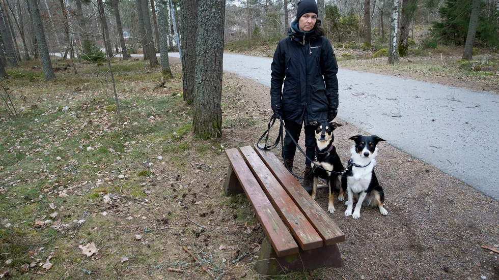 Det var vid den här bänken som killarna satt och pysslade med något när Lena Andreasson kom med hundarna Kurre och Kat. 