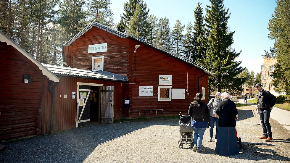 4H-gården på Morö Backe har försatts i konkurs.