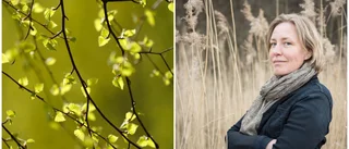 Pollensäsongen är i full gång: "Snart nås peaken"