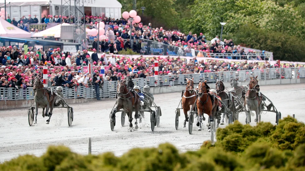 Elitloppet avgörs den 31 maj. Arkivbild.