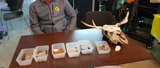 Berusad kvinna körde in i träd i Enköping