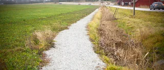 Cykelledssvar gör e-förslagsskrivare besviken