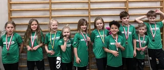 Framgångar för Rosviks brottare
