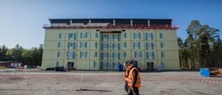 Mellösabo prisad som årets miljösvensk