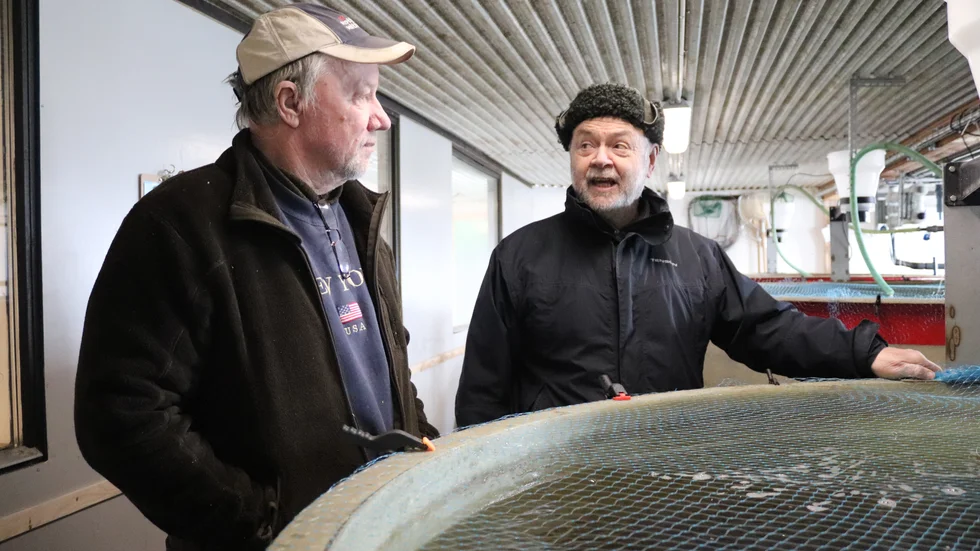 Janne och Janne Larsson vill inte störa fiskarna för mycket utan låter dem komma till ro efter transporten från fastlandet.