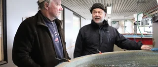 Nu simmar fiskar på torra land