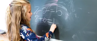 Onödiga ordlekar om skolsystemet