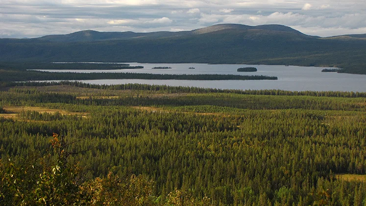 Vuojatnjarka, nytt naturreservat.