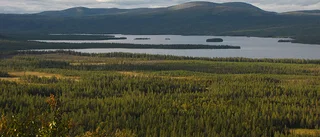Sju nya naturreservat i Norrbotten