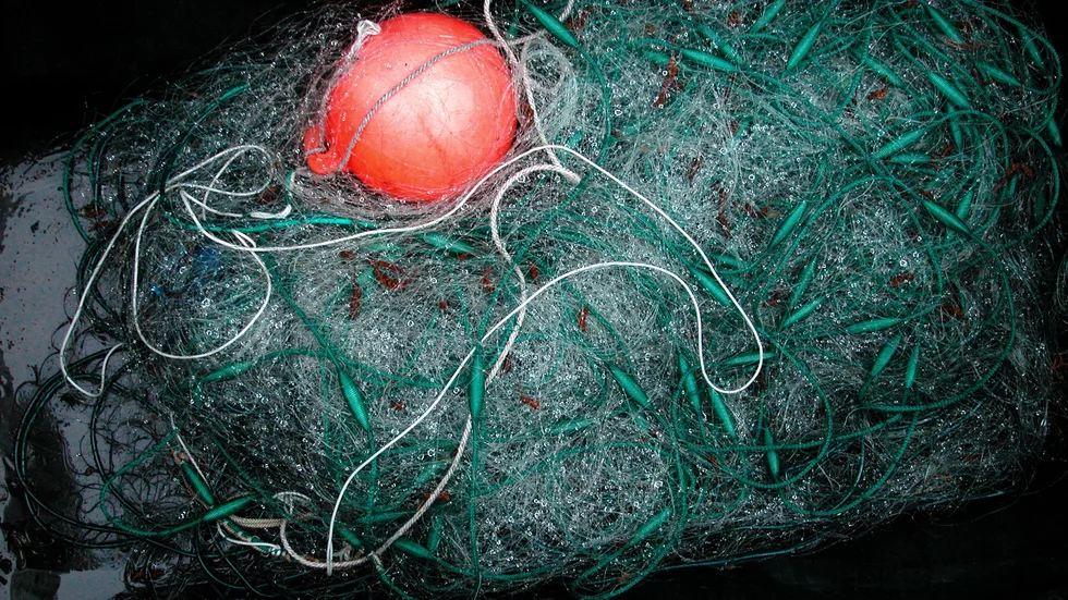 Fiskeredskapen var felaktigt märkta och fisken såldes utan tillstånd. Nu anmäls fiskaren.