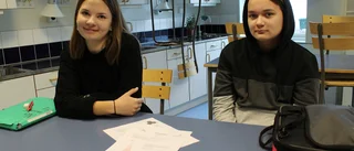 Duktiga matteelever kom tvåa i länet