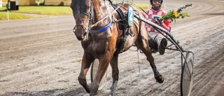 Echo Gamble hade en riktigt bra dag