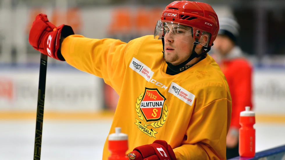 Hampus Harlestam stängs av från spel i tre matcher med Almtuna.