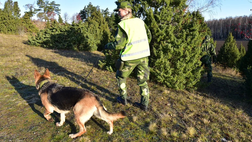 Hemvärnet sattes in i sökinsatsen på måndagen.