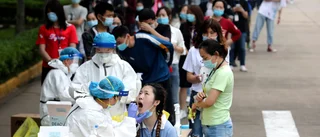 Wuhan: Inga nya fall av coronasjukdom
