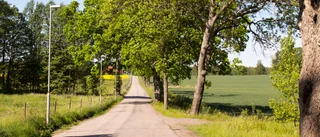 Bilväg till Djulö stängs av – ska bli cykelstråk