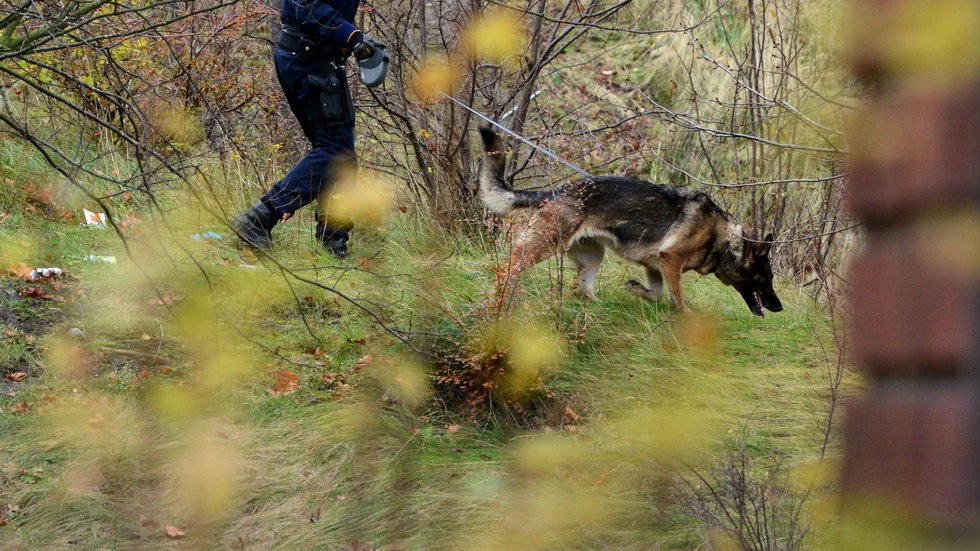 Polis med hund söker efter en försvunnen pojke. Arkivbild.