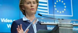 Regeringen borde ställa krav på demokratin i EU
