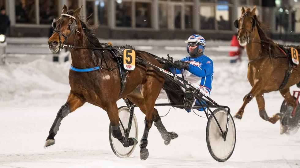 Zorro Swing startar från ett femtespår bakom startbilen vid lördagens V75-omgång på Bergsåker.