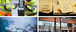 Lista: Företagen som gått bäst i Västerbotten