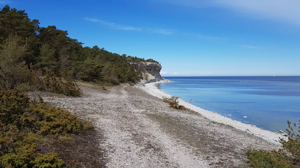 En del av kuststräckan i Hall-Hangvars naturreservat. Här har en tältare tagit sig friheten att göra sig hemmastadd. Men nu får det bli slut på det menar länsstyrelsen.