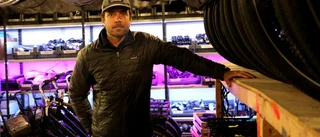 Turistföretagare hålls på halster om sommarsäsongen