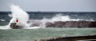 Så länge stannar kylan på Gotland