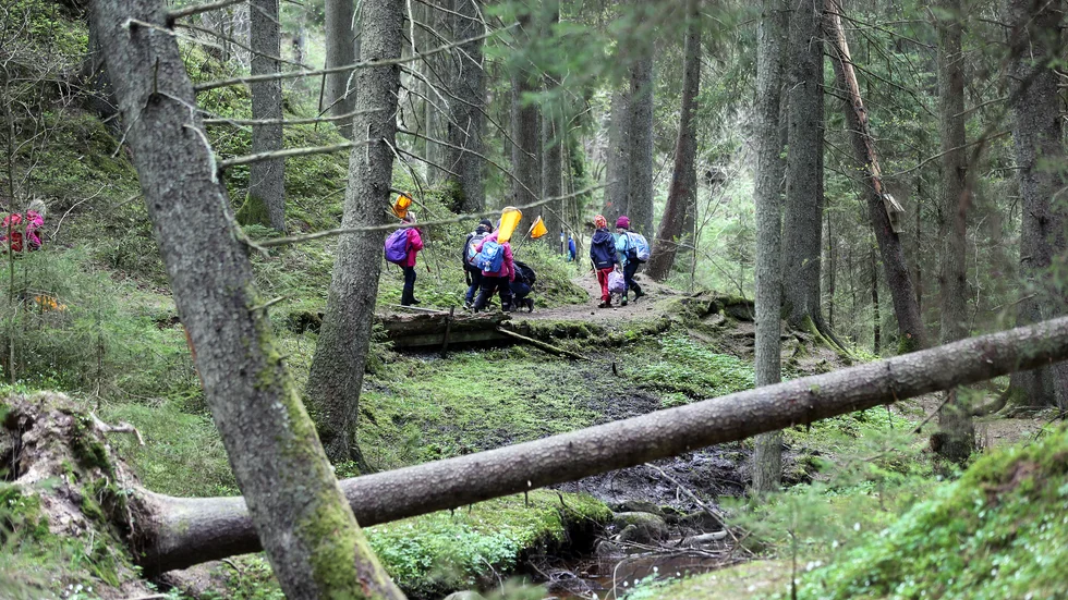 Gunnar Bredin nämner Getåravinen som ett eftersatt område.