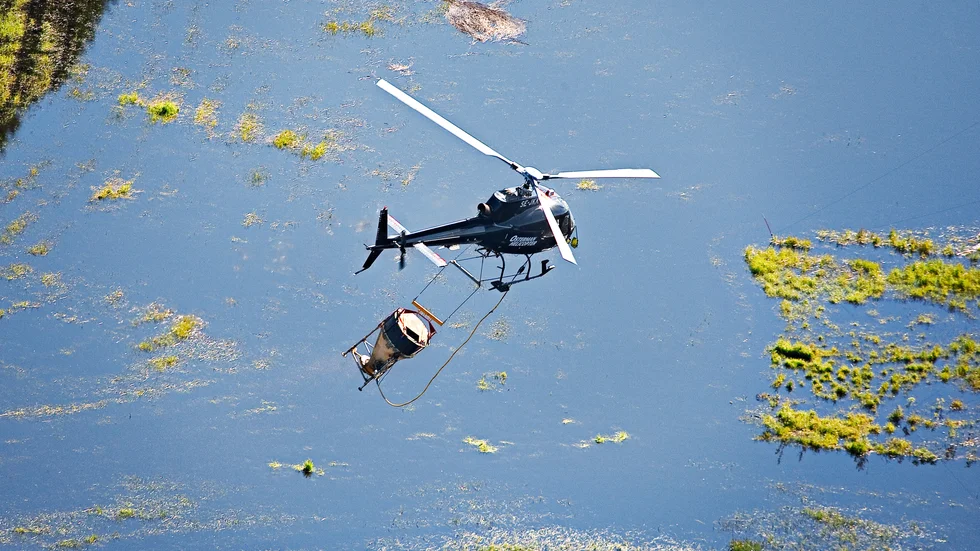 Bekämpning av översvämningsmygg runt Nedre Dalälven görs främst via helikopter.