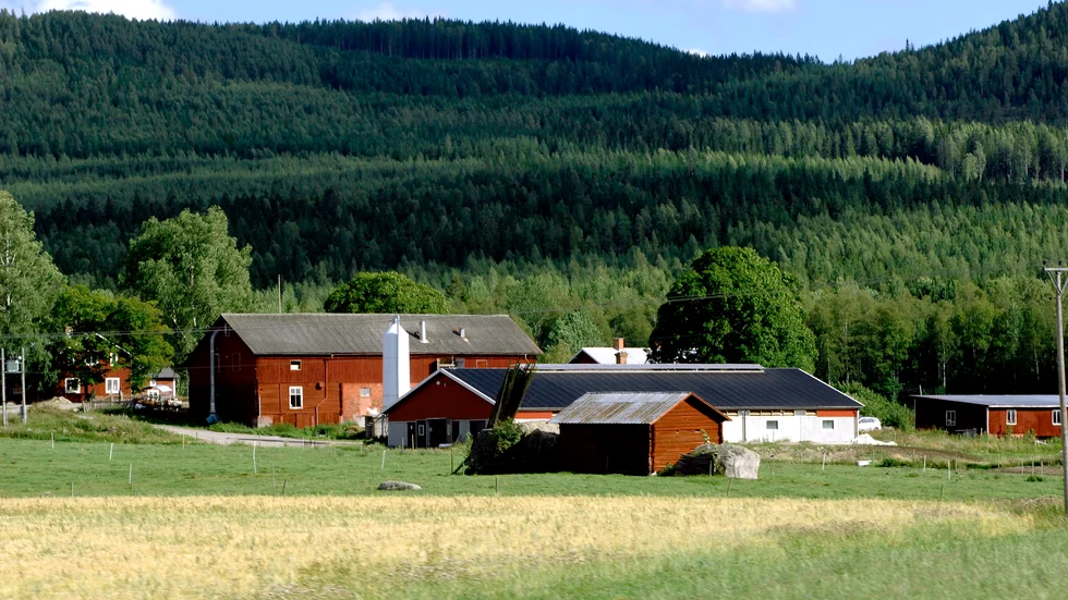  Vi ser en ökad aktivitet och bredd med fler intrång, blockader och ockupationer vid både djurgårdar och slakterier, skriver debattören.