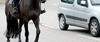 ”Bilisterna visar ingen respekt mot mig och min häst”