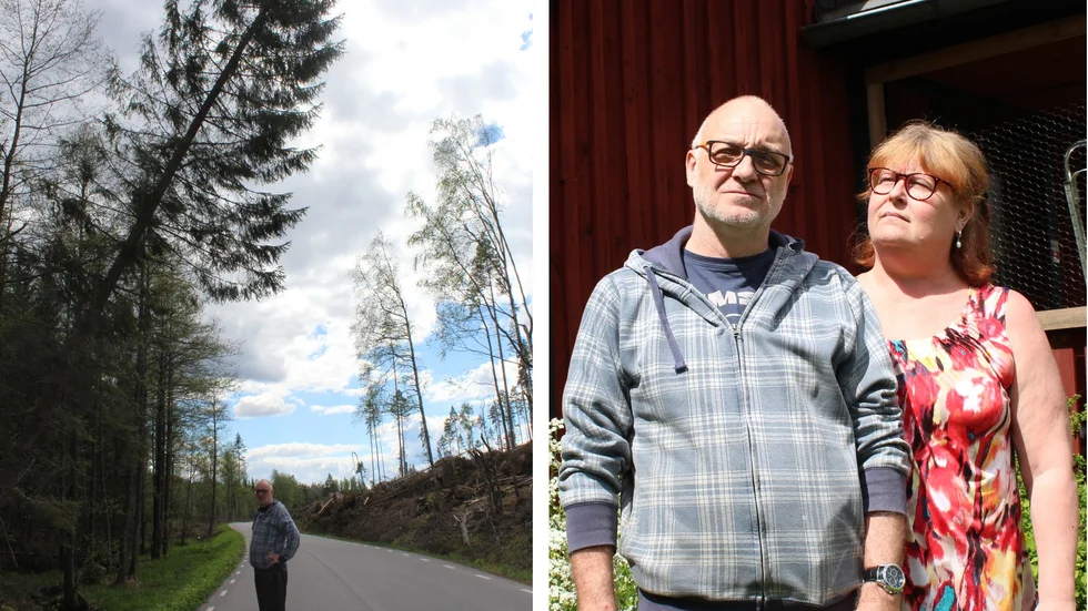 Nicklas och Catrine Englund känner stor frustration över att det ligger så mycket byråkrati bakom beslutet att ta ner trädet. 