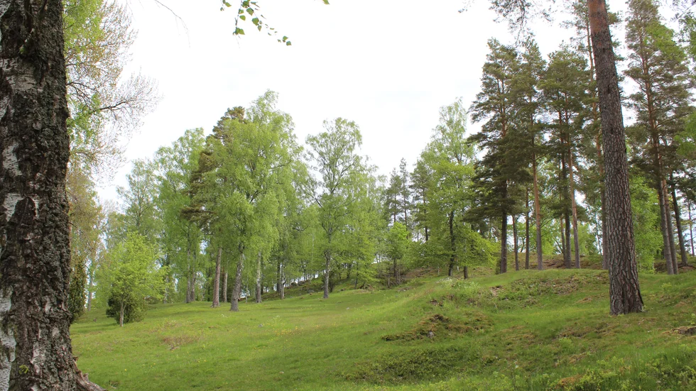 På Lunds kulle, även kallad Lunds backe, finns totalt 95 fornlämningar från yngre järnålder.