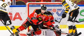 Så tänker svensk hockey       