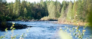 Varnar för höga flöden i Råneälven