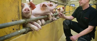 Böndernas biogasplaner ligger på is