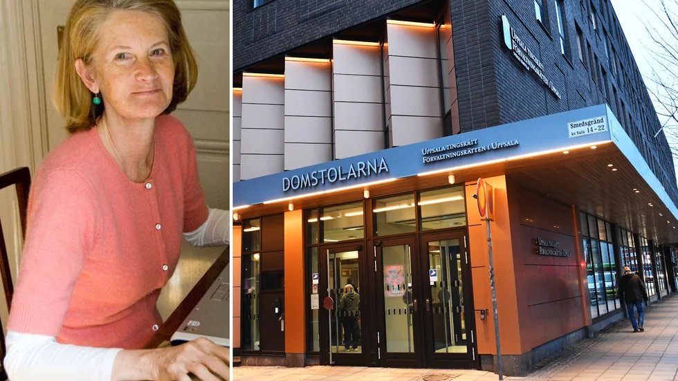 En oenig tingsrätt friade en man från våldtäktsförsök efter att två nämndemän dömt ut målsägandens trovärdighet. Suzanne Wennberg, professor emerita i straffrätt, är kritisk till domskälen.