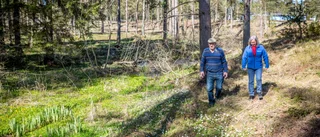 Efter år av väntan - utvecklar och satsar året runt