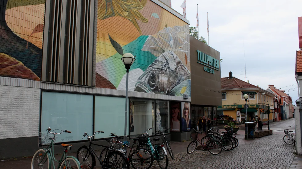 Händelsen i Stadsparken inträffade runt lunchtid på torsdagen, men hade sin upprinnelse på Hemköp på Galleria Tullporten. Kvinnan är nu misstänkt för ringa stöld.
