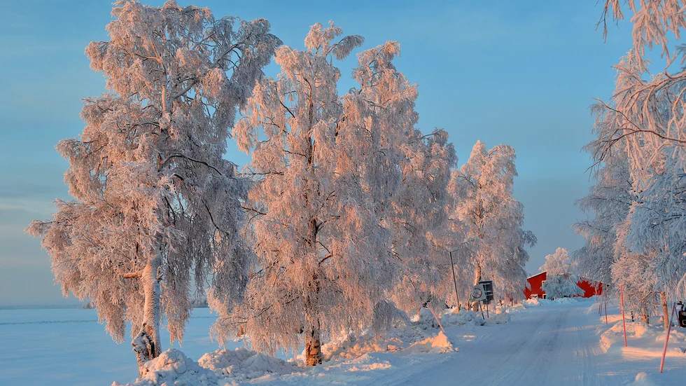 Det ser inte ut att bli någon ny snö under tisdagen enligt SMHI:s prognos.