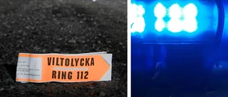 Bilist krockade med älg       
