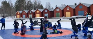 Brottarklubbens iskalla grepp – brottas på havsisen