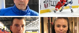 Vita Hästen-enkät: "Jonte Ericsson vore drömvärvningen"