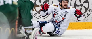 Inget pris för Little på SHL-galan