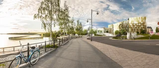 Sju år av planer – så har snacket om Bävern gått