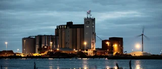 Larmar om trafikfarlig växtlighet i Klintehamn 