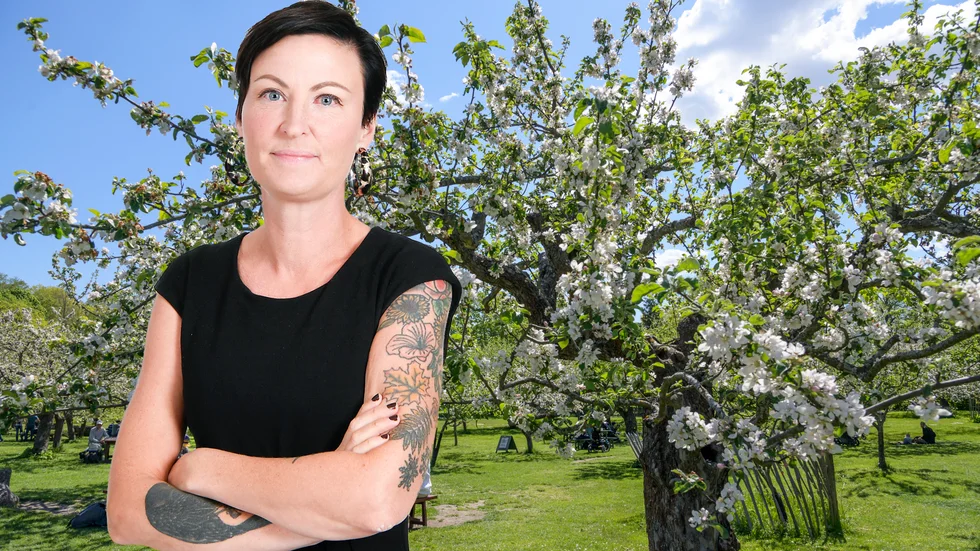 "Vädrets kontraster är stora i norra Sverige", konstaterar krönikören. 