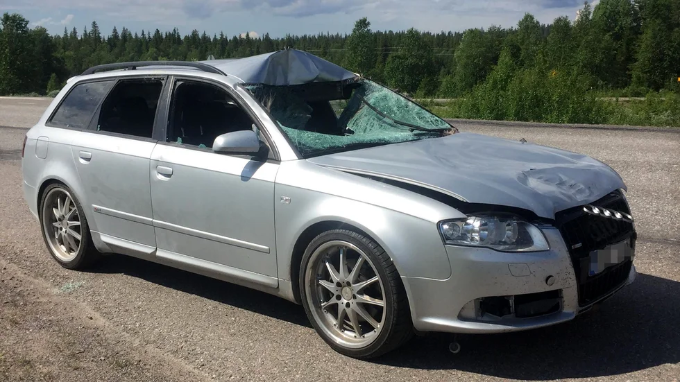 En älgolycka inträffade på tisdagsmorgonen på E45. Föraren av den stulna bilen lämnade platsen utan att ge sig till känna efter att denne kört på älgen.