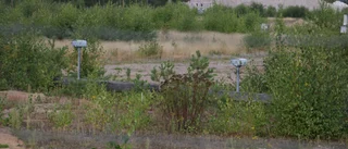 Man i 35-årsåldern häktad för stöld