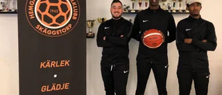Nu satsar de på basket: "Väldigt hög efterfrågan"